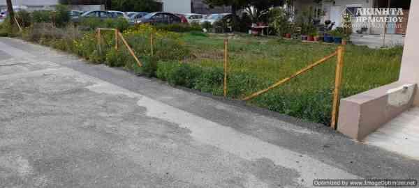 20210408_150721.jpg